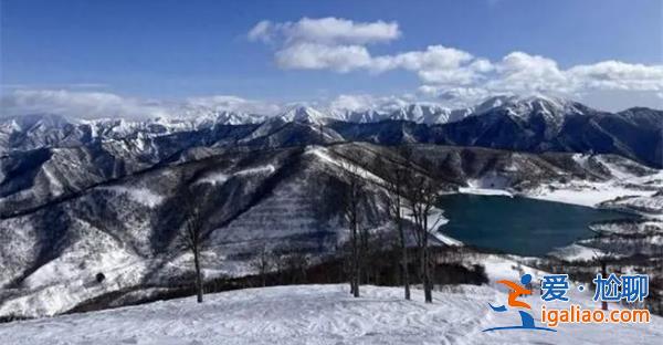 女游客日本滑雪身亡，疑吸入粉雪室息，是日本選手嗎[日本滑雪]？