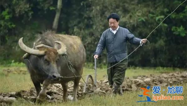 退休市長回鄉成網紅[回鄉成網紅]？