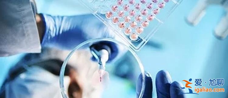 License out爆發創新藥研發和投資再怎么走 創新藥的收益在哪? License out爆發創新藥研發和投資再怎么走 創新藥的收益在哪?