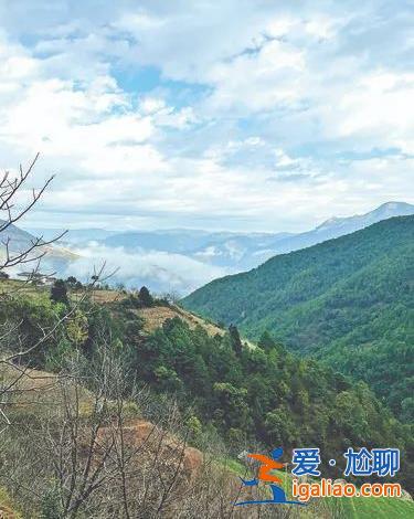 確診抑郁癥后 15歲少年逃走自救？