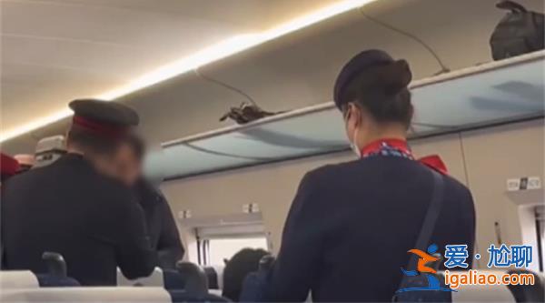 女乘客高鐵點餐想加米飯被拒，高鐵可以加餐嗎[女乘客加米飯被拒]？