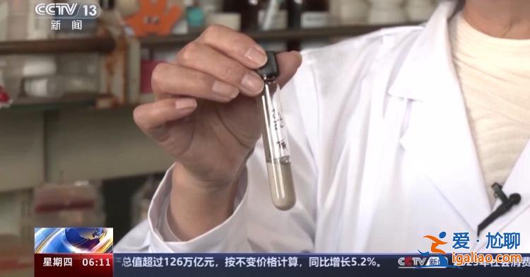 是否存在外星生命？中國空間站將開展地外生態系統模擬實驗？