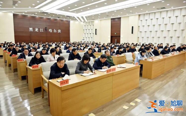 于洪濤任哈爾濱市委書記？