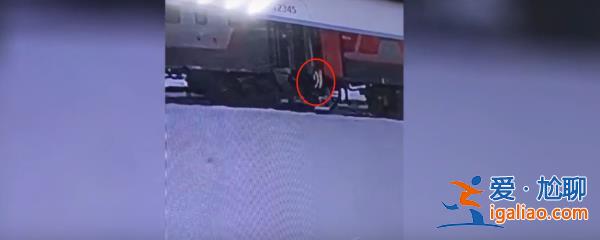 “重大丑聞”！俄羅斯一寵物貓被列車(chē)員扔下火車(chē)后死亡 俄鐵道歉？