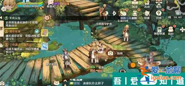 森之國度旅行青蛙在哪  森之國度旅行青蛙位置一覽？