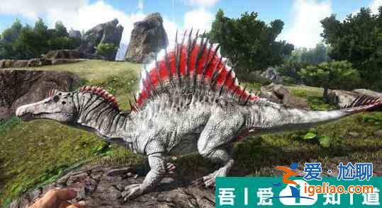 方舟生存進(jìn)化脊背龍吃什么飼料  方舟生存進(jìn)化脊背龍飼料介紹？