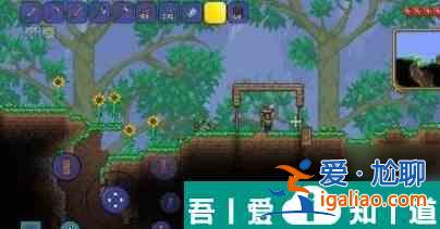 泰拉瑞亞蓋的房子怎么拆 具體一覽？