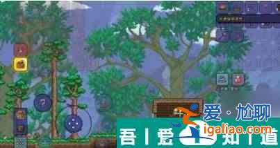 泰拉瑞亞蓋的房子怎么拆 具體一覽？
