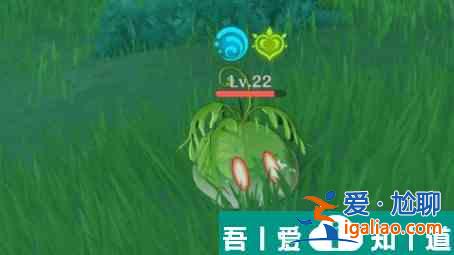 原神草史萊姆位置介紹 具體一覽？