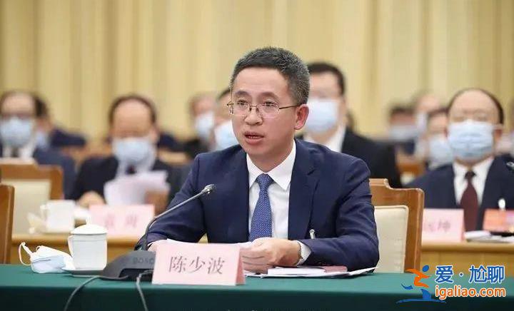 6人履新省級政府副職 其中兩名70后“由企轉(zhuǎn)政”任副省長？