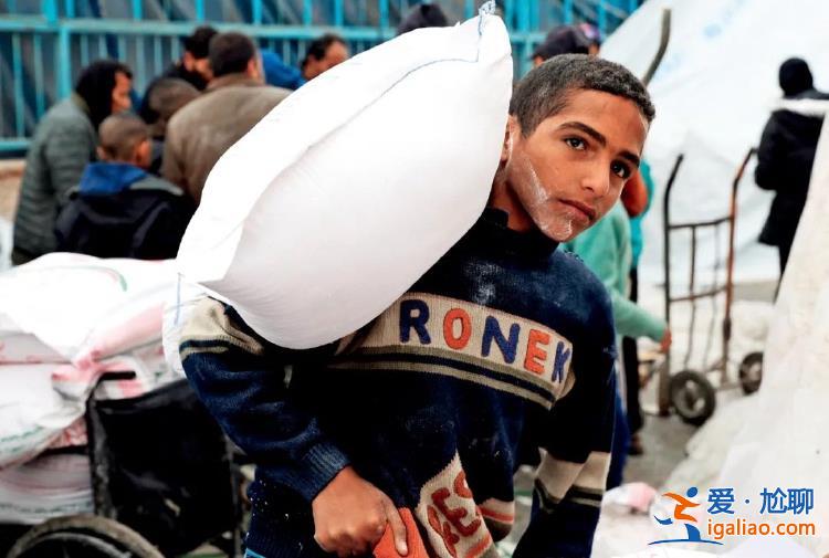 何怨何仇 以色列指控這個聯合國機構幫助哈馬斯? 何怨何仇 以色列指控這個聯合國機構幫助哈馬斯?