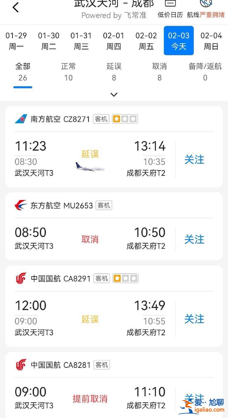 武漢連夜降雪 機場大面積延誤 飛成都航班80%延誤或取消？