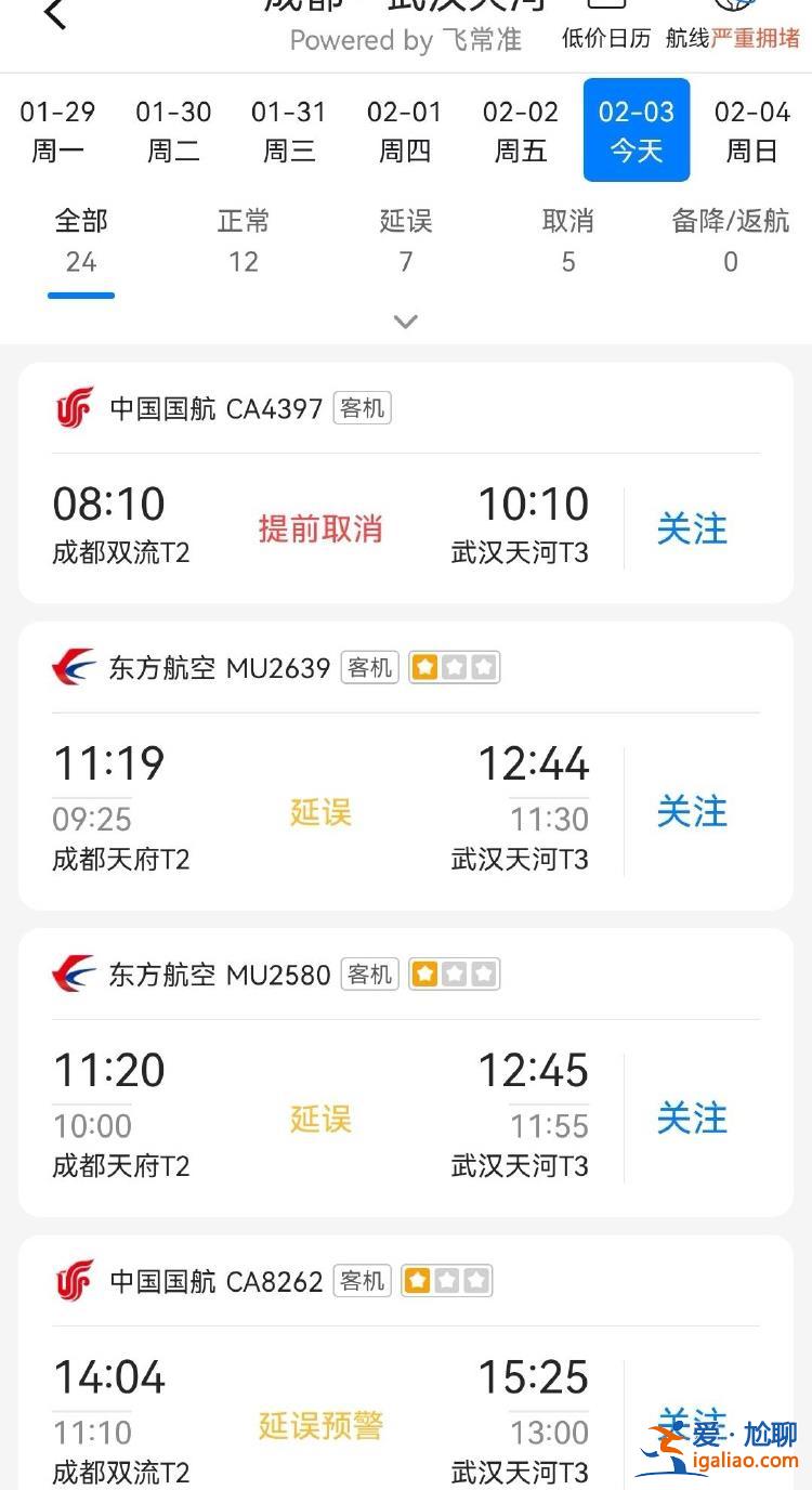 武漢連夜降雪 機場大面積延誤 飛成都航班80%延誤或取消？