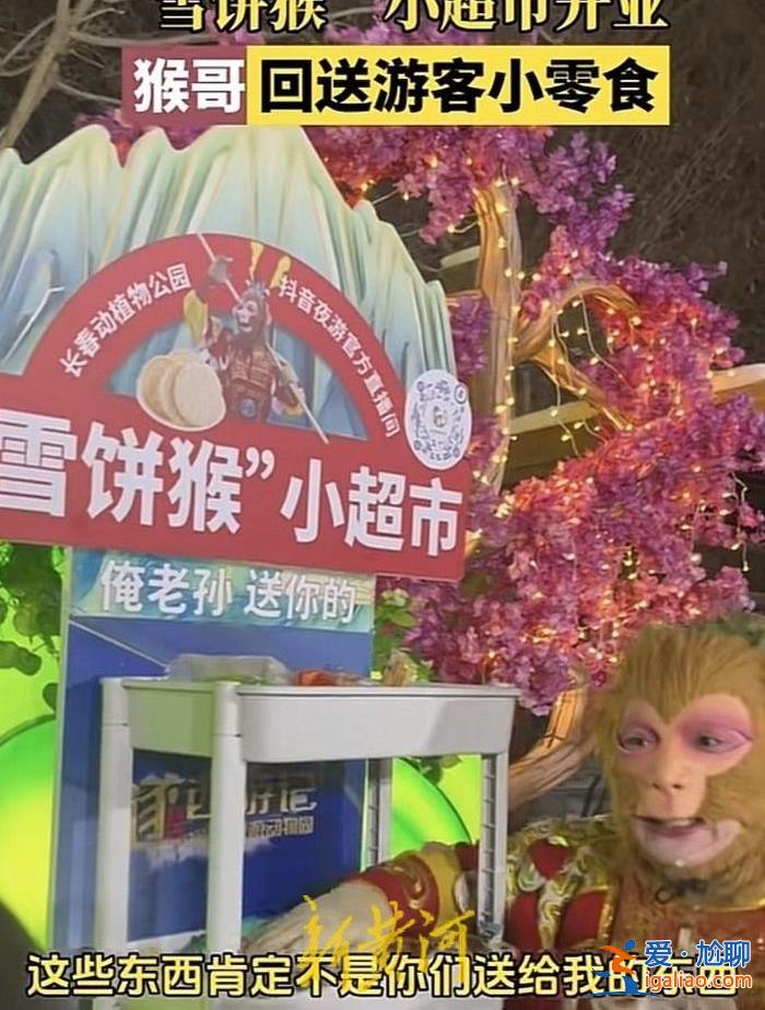 大四畢業后 演猴帶來的“潑天富貴”他接住了？