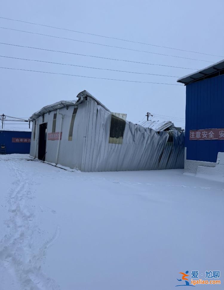 湖北公安縣特大暴雪致廠房垮塌！有企業主稱一夜損失上百萬？
