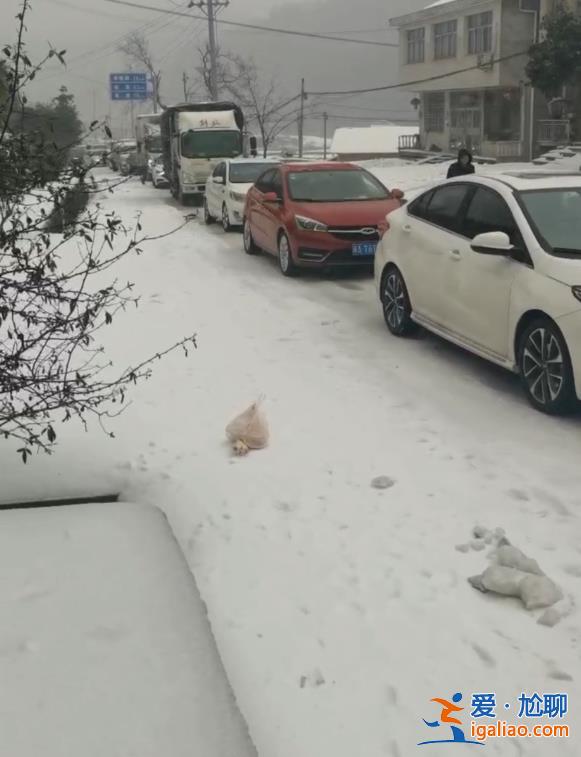 70多歲老人在車上顛簸了43個小時還未到家？