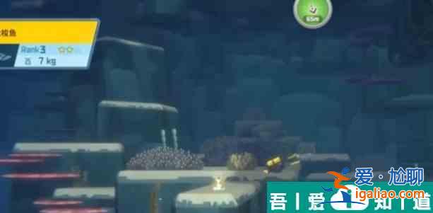 潛水員戴夫大梭魚(yú)開(kāi)胃餅怎么制作  潛水員戴夫大梭魚(yú)開(kāi)胃餅制作方法？