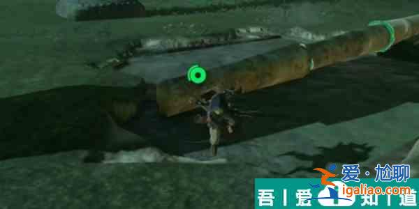 塞爾達傳說王國之淚織夢島套裝怎么獲得  具體獲得攻略一覽？