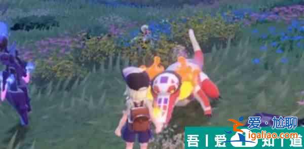 寶可夢朱紫御三家怎么玩  寶可夢朱紫御三家攻略？