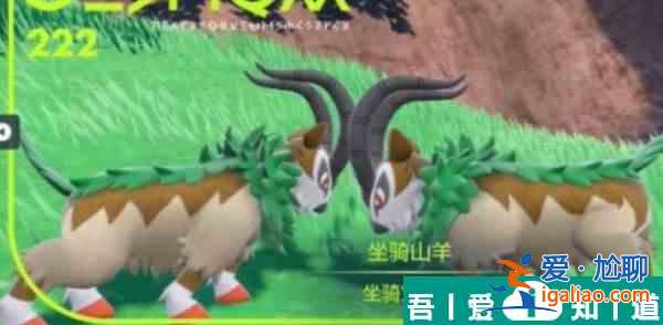 寶可夢朱紫坐騎山羊在哪里捕捉  寶可夢朱紫坐騎山羊捕捉位置？