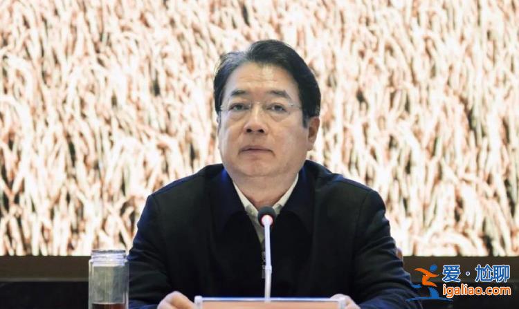 龍年首虎！卸任一年后胡強被拿下 曾陷入“周劼炫富”的輿論風波？