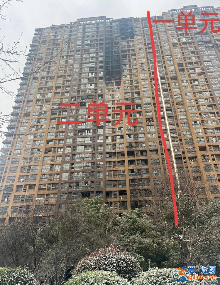 里面的充電樁也是物業裝的 不是我們自己亂接的？