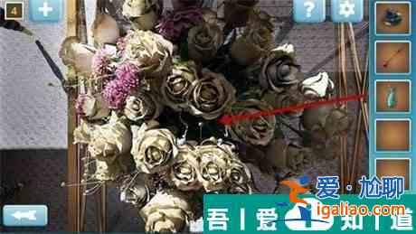 密室逃脫7環(huán)游世界第4關(guān)怎么過 密室逃脫7環(huán)游世界第4關(guān)通關(guān)攻略？