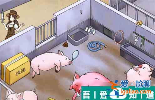 瘋狂梗傳養豬場   瘋狂梗傳養豬場過關攻略？