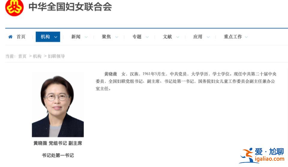 經黨中央批準 正部級女將以這一身份率團出國？