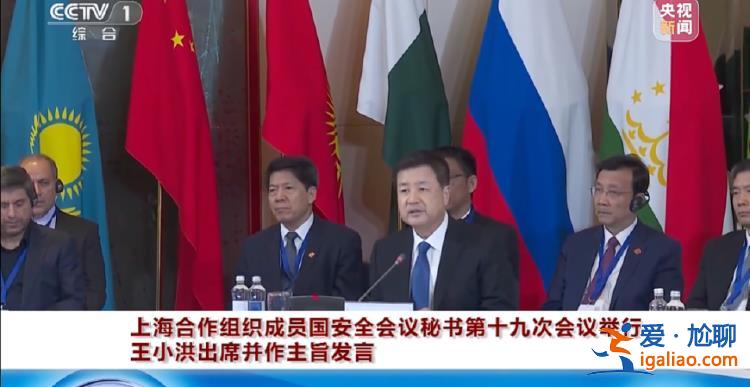 公安部部長王小洪出國 有幾個重要細節？