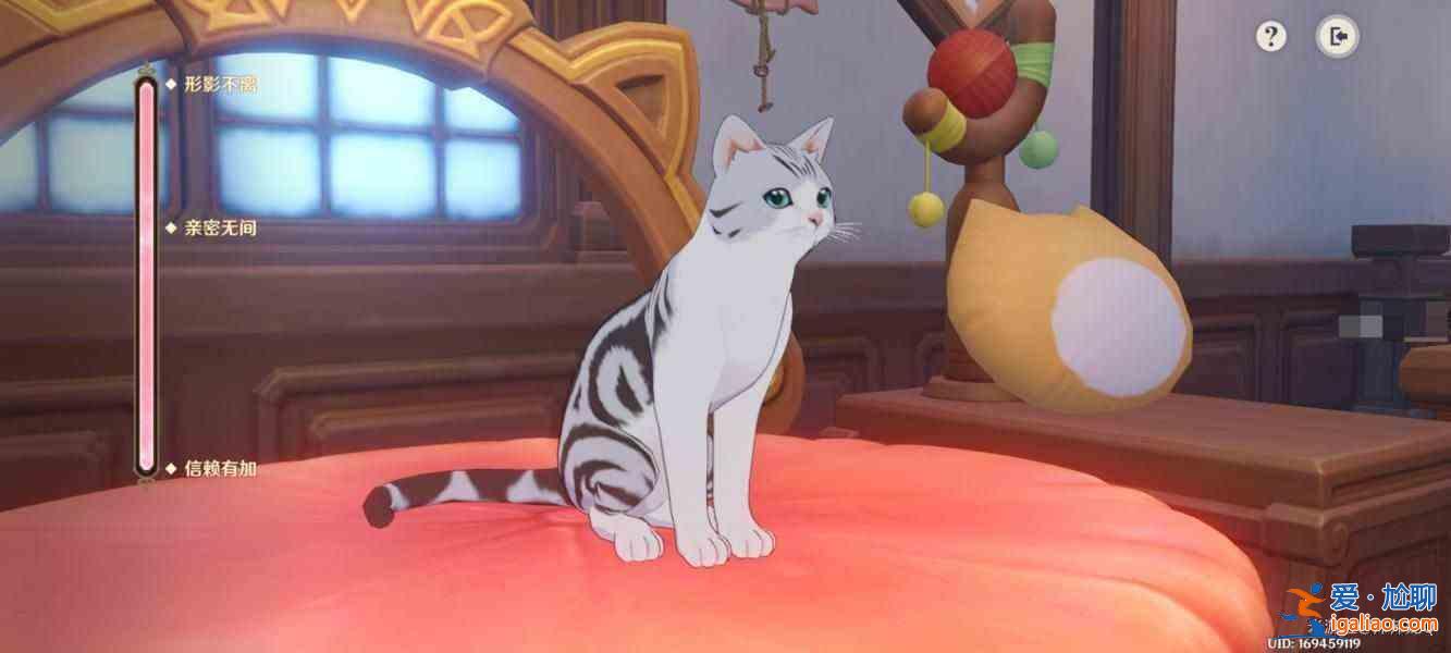 如何在《原神》的碰撞樹屋中生存?蓉蓉城堡貓咪歷險(xiǎn)記第二天攻略? 如何在《原神》的碰撞樹屋中生存?蓉蓉城堡貓咪歷險(xiǎn)記第二天攻略?