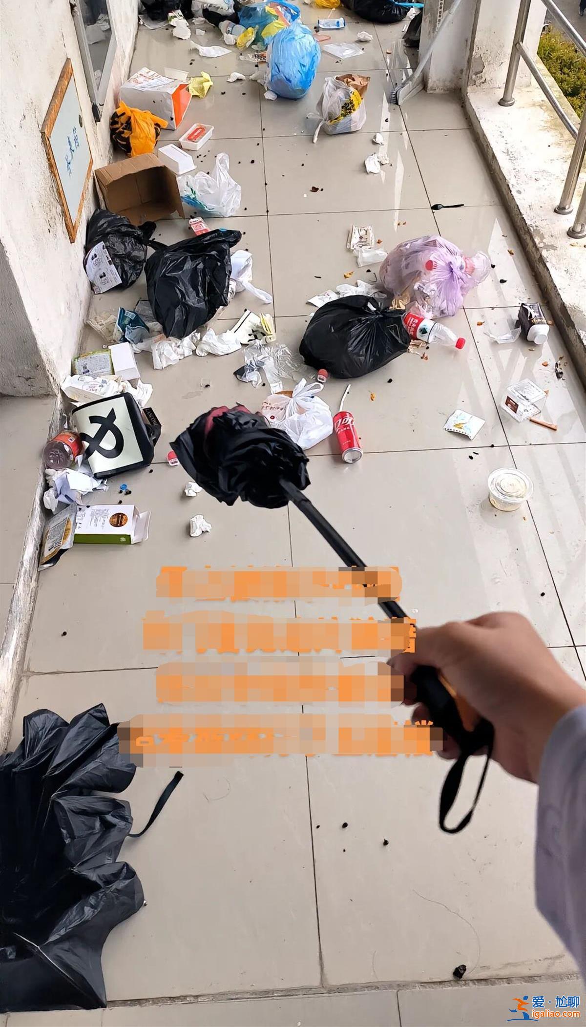 野猴成群入侵高校女生宿舍 垃圾被翻現場一片狼藉 校方回應？