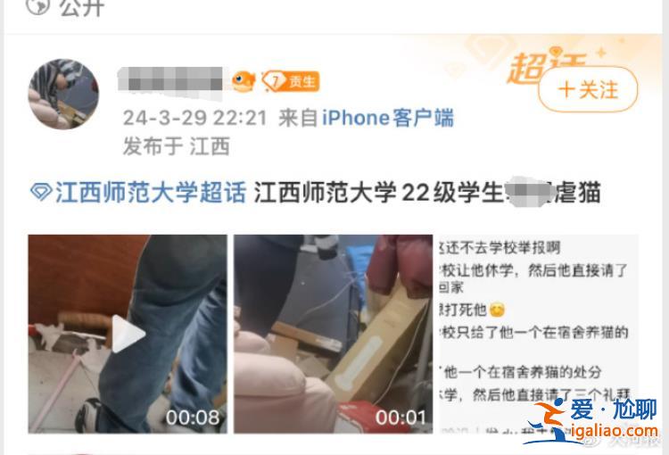 江西師范大學虐貓學生被開除學籍 調查發現其還存在傳播淫穢視頻的行為？