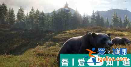 獵人荒野的呼喚密西西比的東部白尾灰兔位置一覽 具體介紹？
