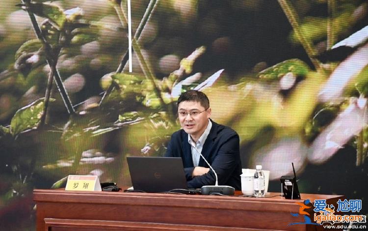 羅翔受聘為山東大學兼職教授？