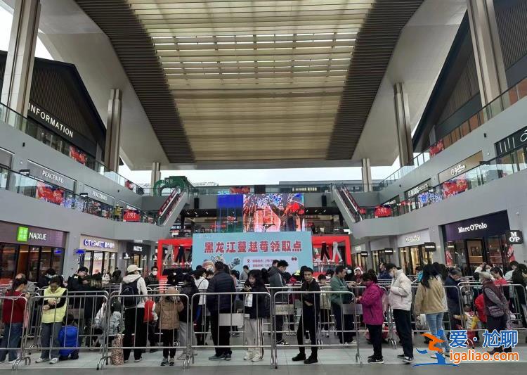 “城”勢而上 | 撫遠蔓越莓厲害得“上了天”? “城”勢而上 | 撫遠蔓越莓厲害得“上了天”?