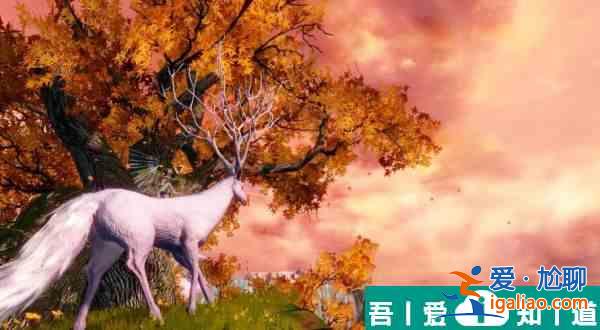 妄想山海霸下世界BOSS怎么打 霸下世界BOSS打法攻略? 妄想山海霸下世界BOSS怎么打 霸下世界BOSS打法攻略?