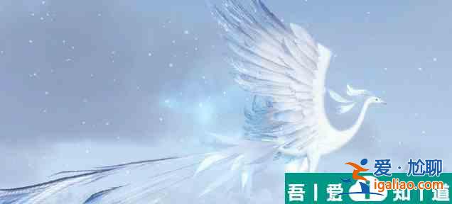 逆水寒手游公主朵朵怎么獲取 公主朵朵獲取方法？