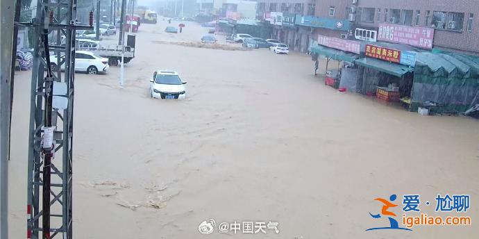 積水齊腰車輛被淹？