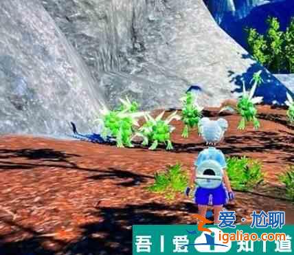 寶可夢朱紫飛天螳螂在哪 寶可夢朱紫飛天螳螂位置大全？