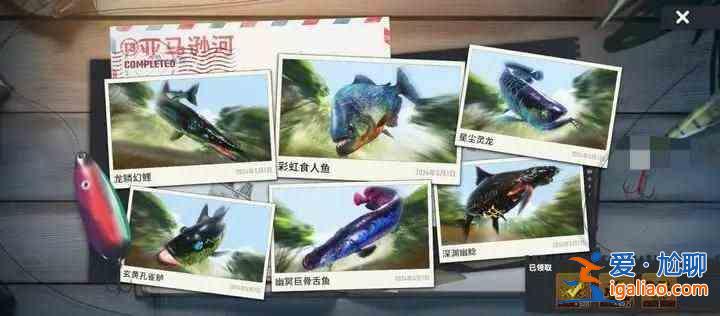 書名：快樂釣魚大師T3新地圖珍奇魚合集魚圖鑒合集？
