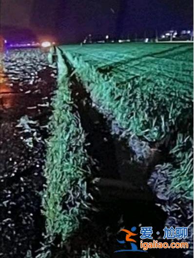 塔臺通報跑道有大雨后 機組仍繼續著陸？
