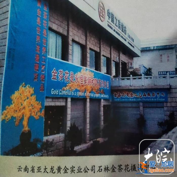 總價值上億的金茶花在銀行不翼而飛？云南多方回應(yīng)？