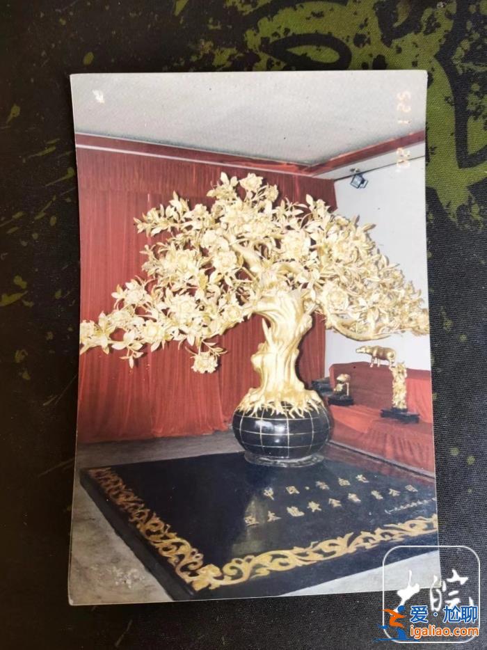 總價值上億的金茶花在銀行不翼而飛？云南多方回應(yīng)？