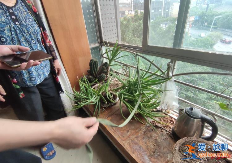 路人用泡沫箱搭救生墊救她一命 目前生命體征穩定？