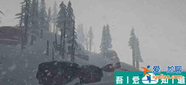 漫漫長夜樹枝有什么用 樹枝作用分享？