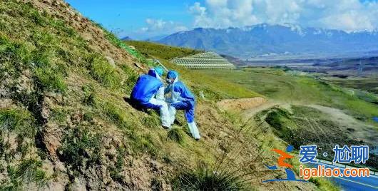 青海“8·07”日月山埋尸案罪犯馬成被執行死刑? 青海“8·07”日月山埋尸案罪犯馬成被執行死刑?