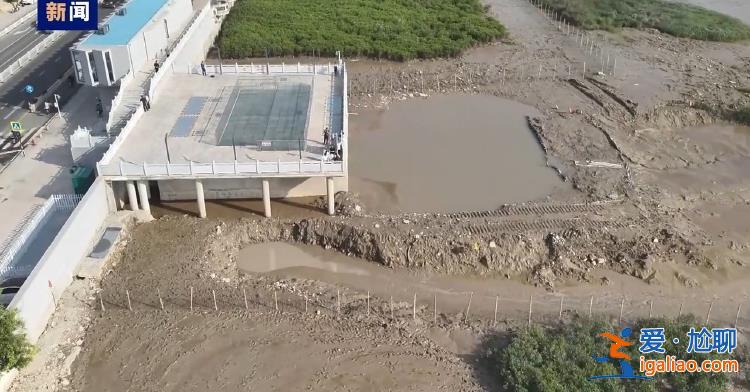 毀林種咖啡、江豚慘死 中央生態(tài)環(huán)保督察通報? 毀林種咖啡、江豚慘死 中央生態(tài)環(huán)保督察通報?