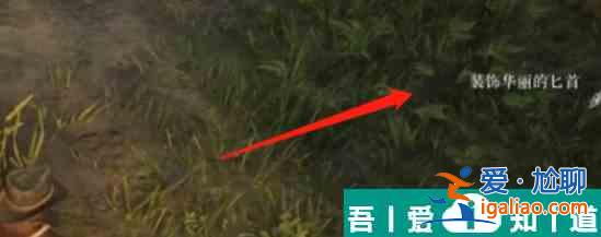 荒野大鏢客2傳說中的吸血鬼具體在哪 具體位置介紹? 荒野大鏢客2傳說中的吸血鬼具體在哪 具體位置介紹?