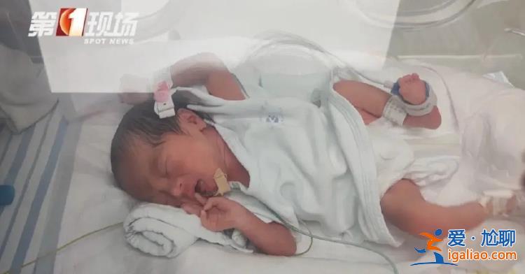 夫妻月收入約1萬 妻子辭職后養6個孩子壓力特別大？